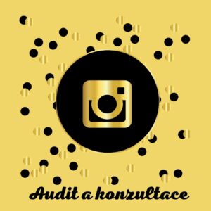 audit a konzultace Instagram